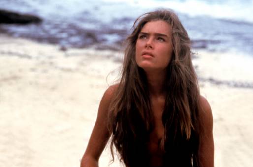  to me your computer was programmed by Brooke Shields in The Blue Lagoon